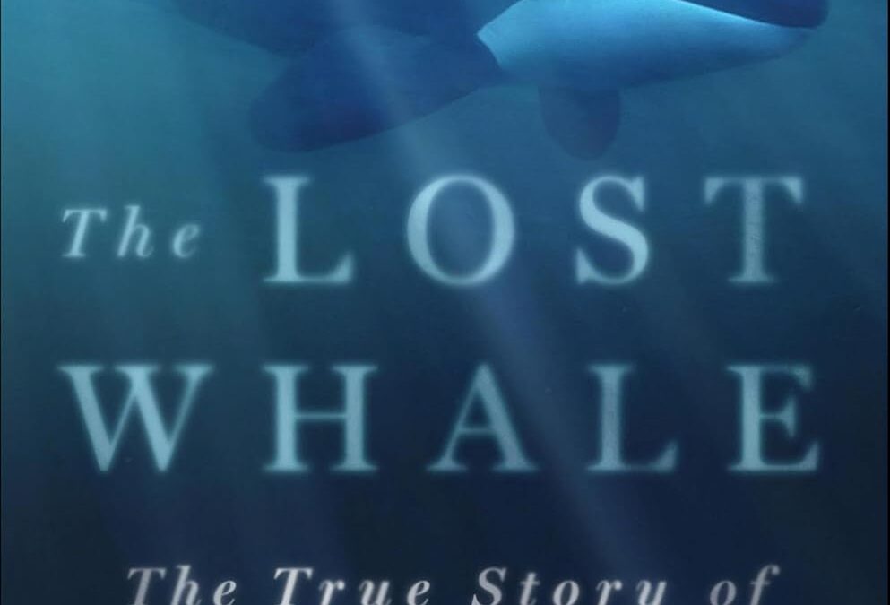 The Lost Whale