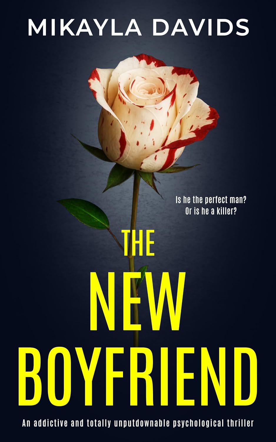 The New Boyfriend by Mikayla Davids book cover