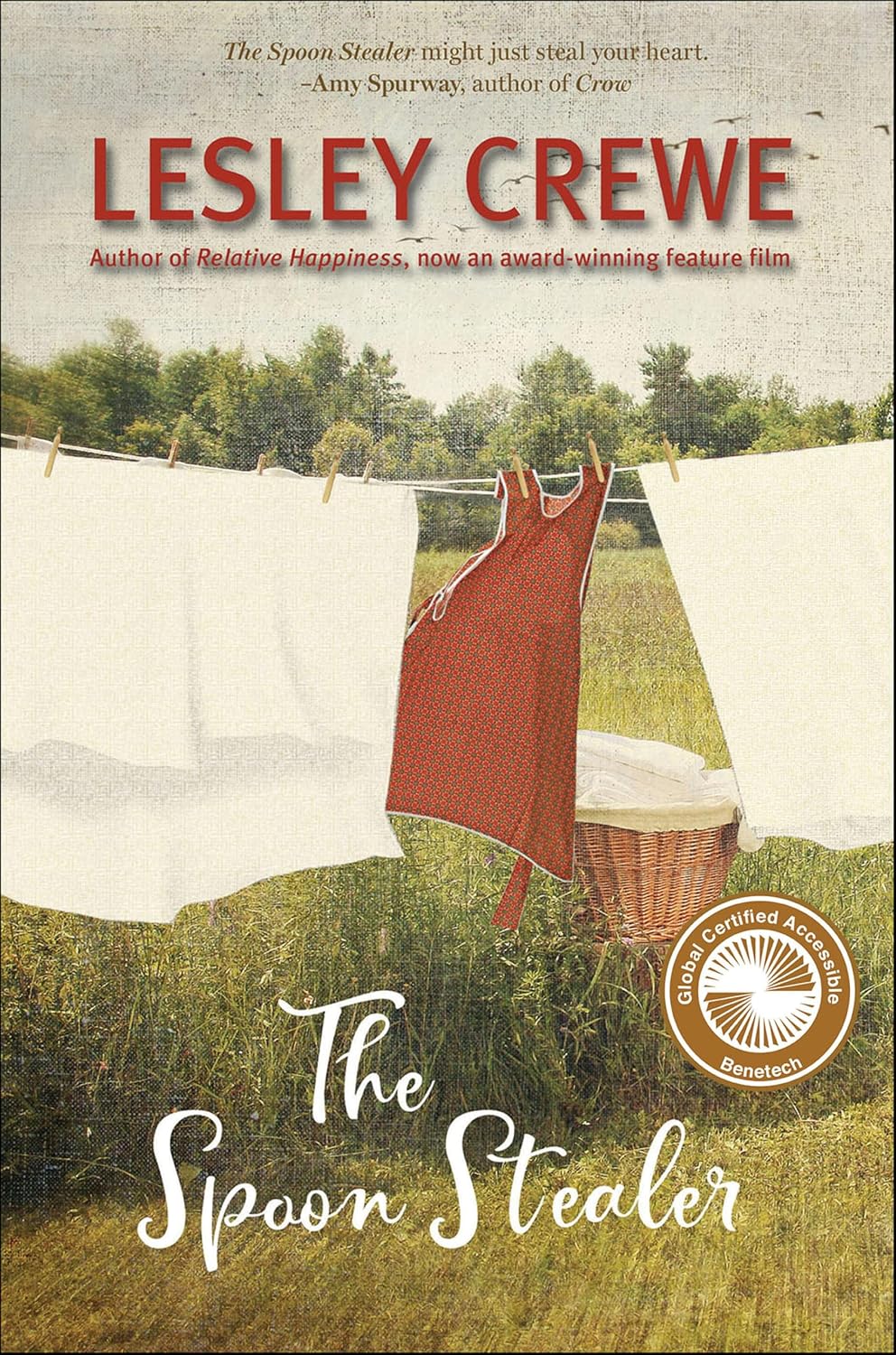 The Spoon Stealer by Lesley Crewe book cover
