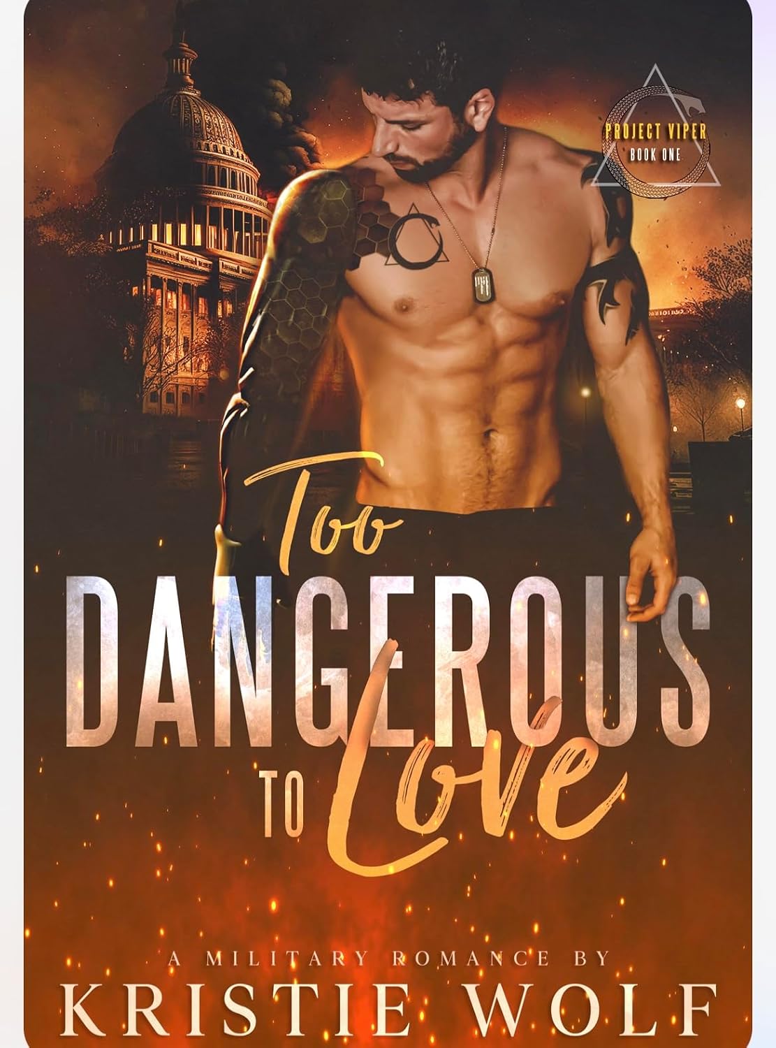 Too Dangerous to Love by Kristie Wolf book cover