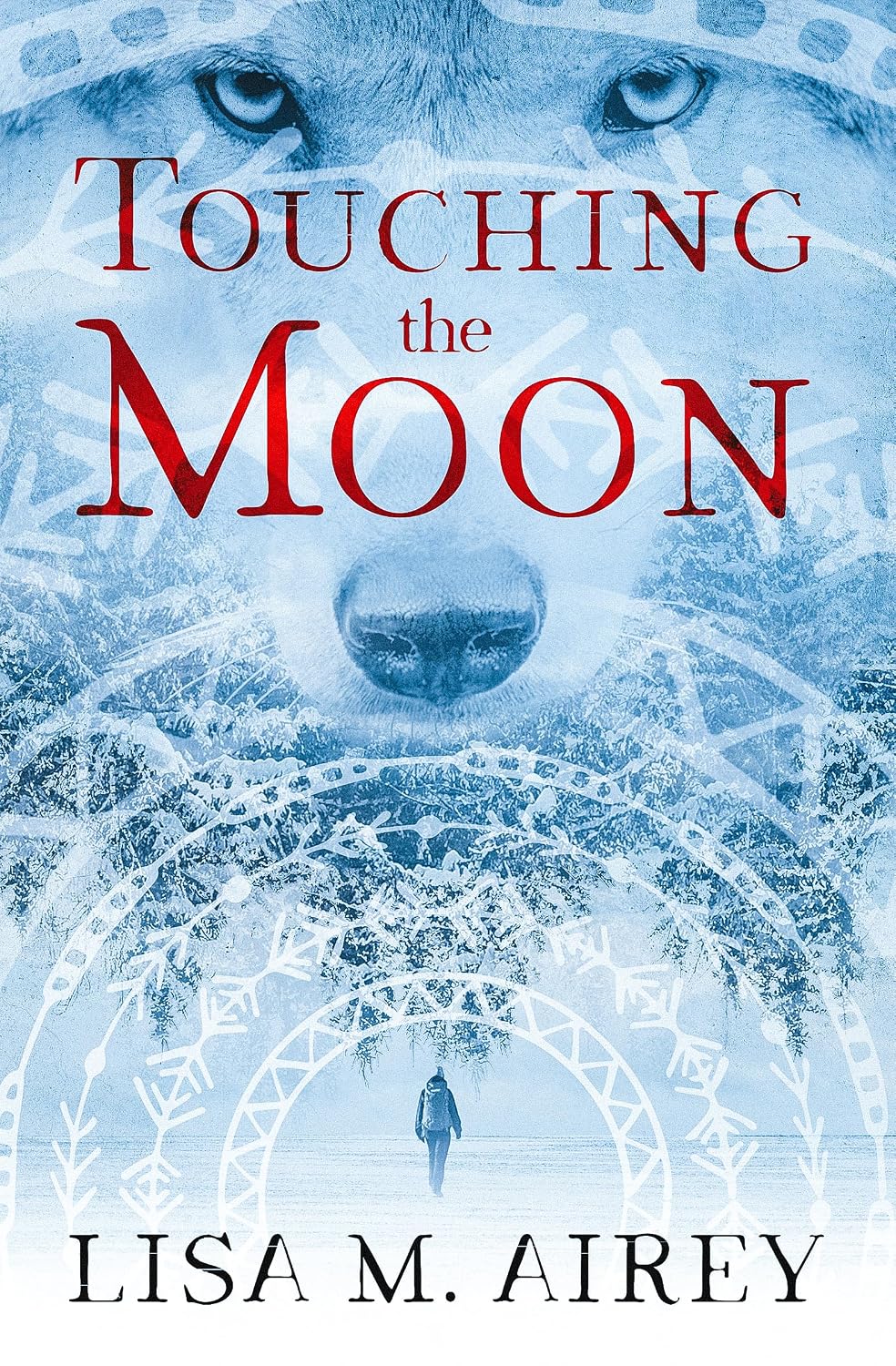 Touching the Moon by Lisa M. Airey book cover