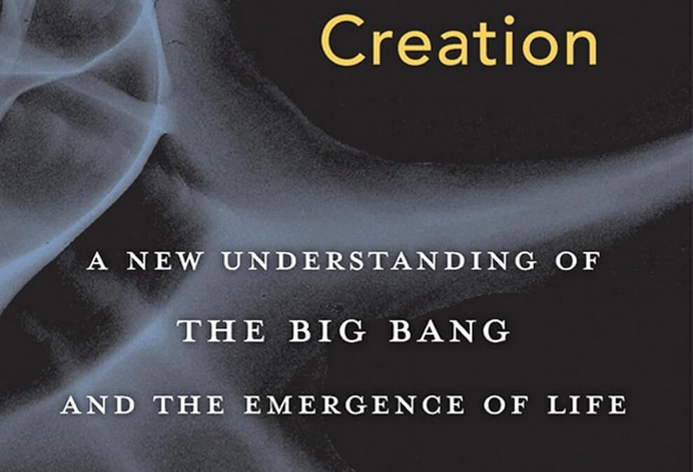 Universe in Creation