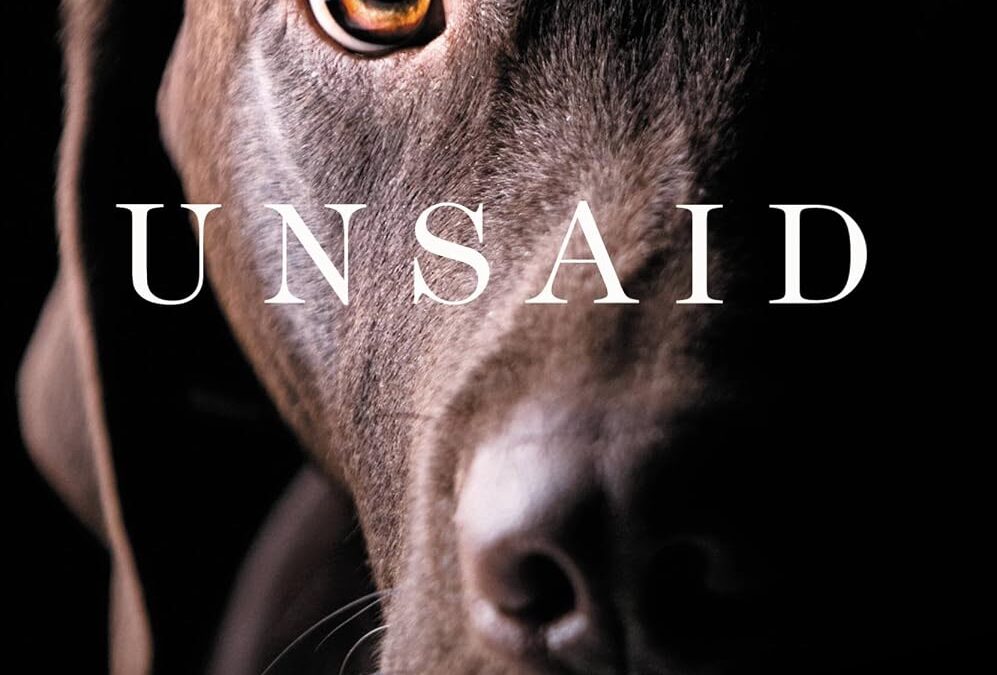 Unsaid