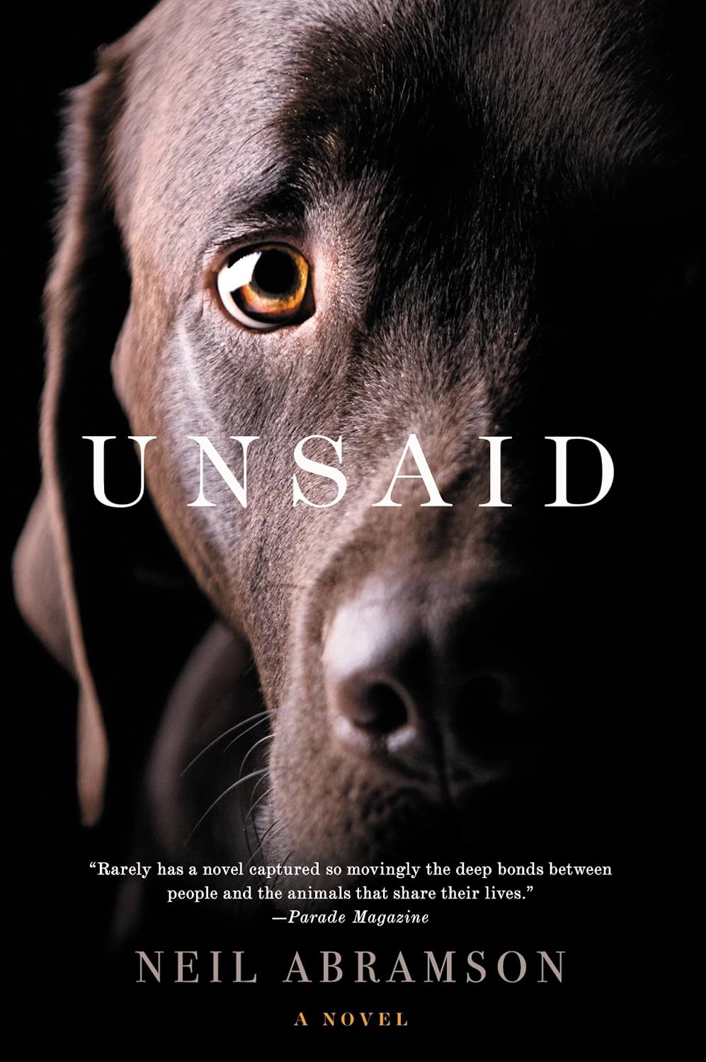 Unsaid by Neil Abramson book cover