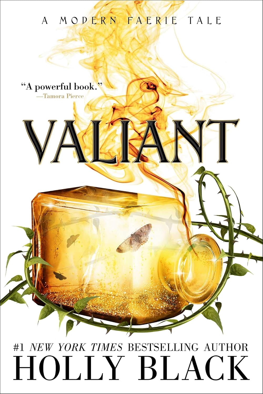 Valiant by Holly Black book cover