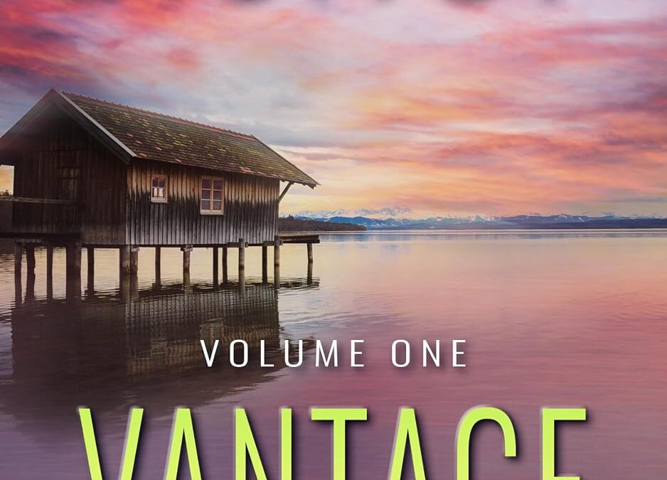 Vantage Security (Volume 1)