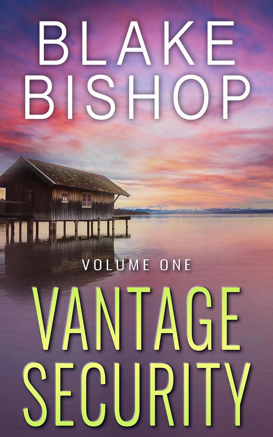 Vantage Security (Volume 1) by Blake Bishop book cover