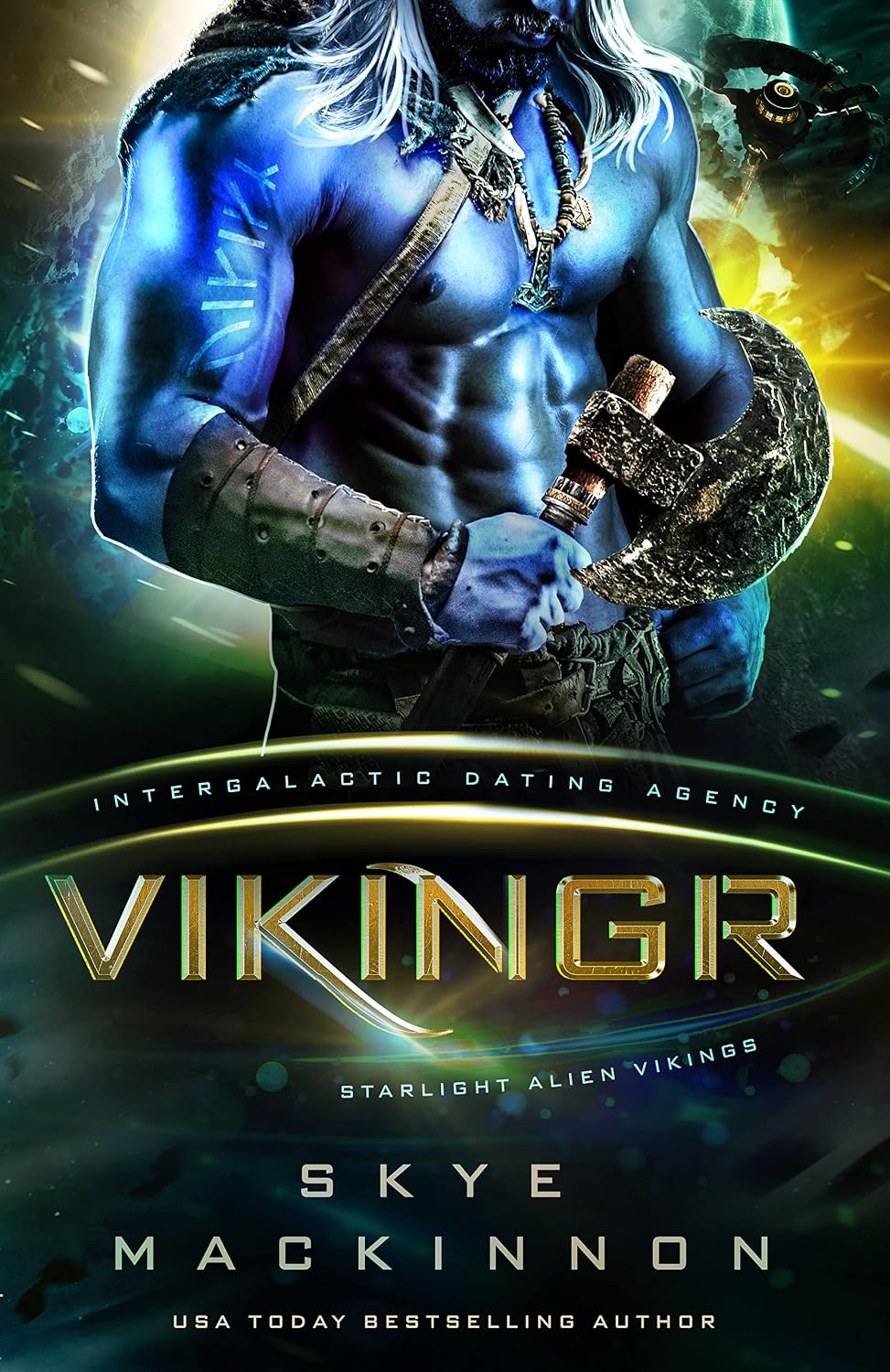 Vikingr by Skye MacKinnon book cover