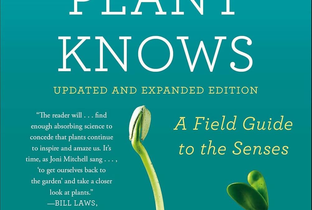 What a Plant Knows