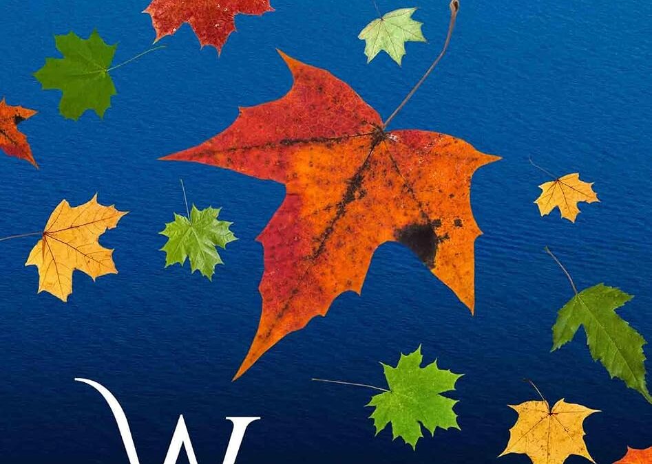 Wounded Heroes (Books 1–2)