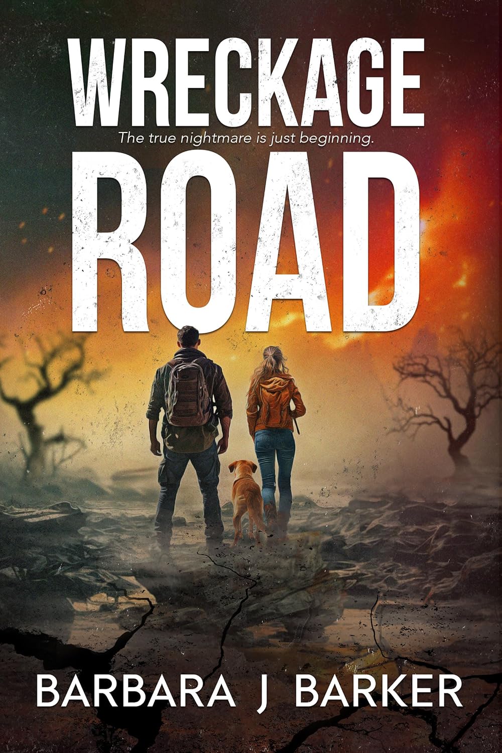 Wreckage Road by Barbara J Barker book cover