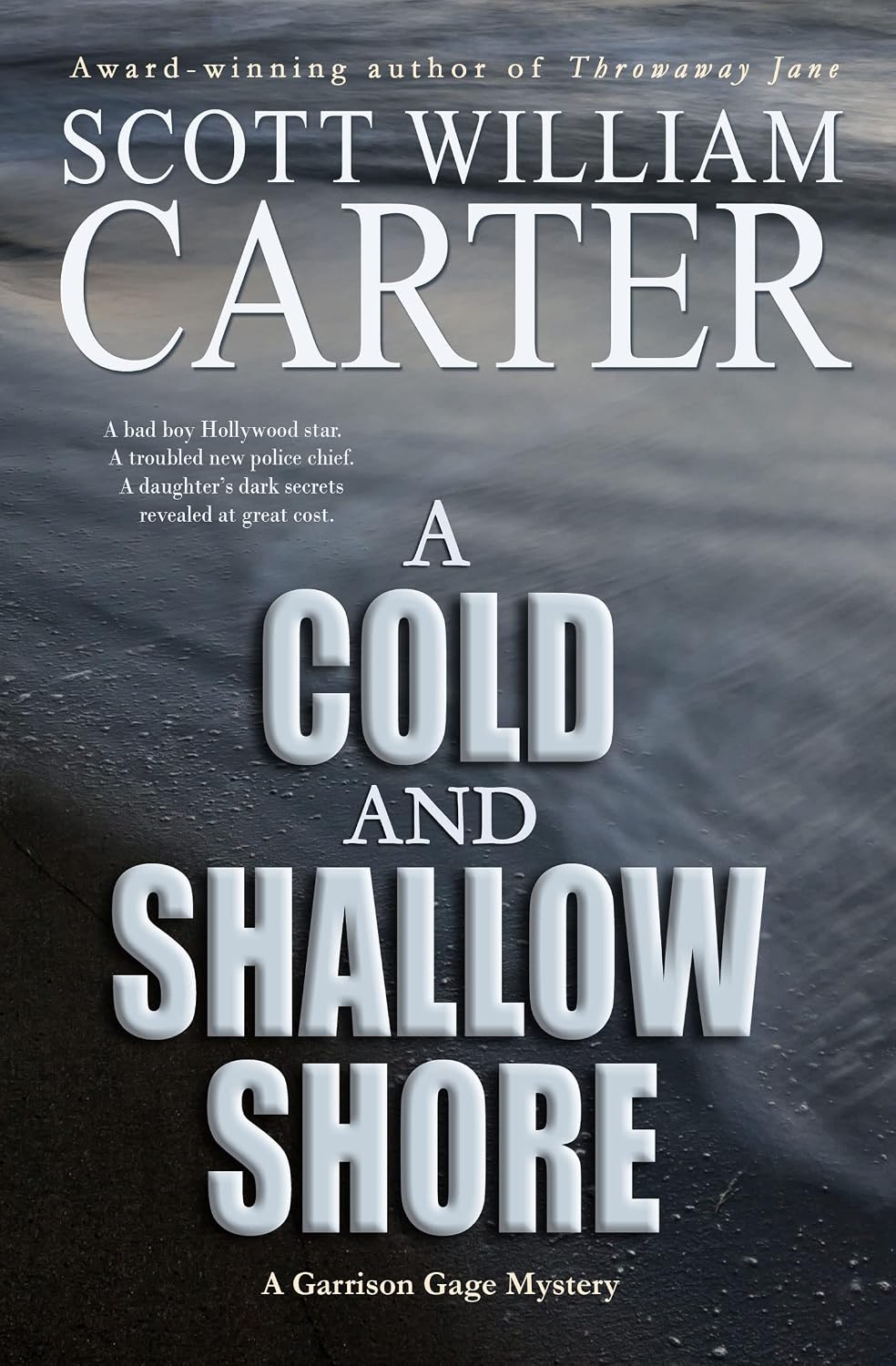 A Cold and Shallow Shore by Scott William Carter book cover