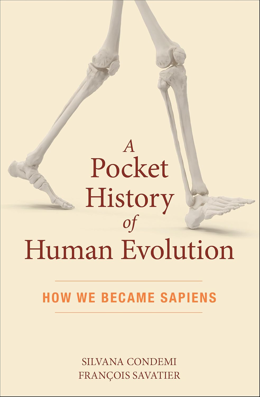 A Pocket History of Human Evolution by Silvana Condemi book cover