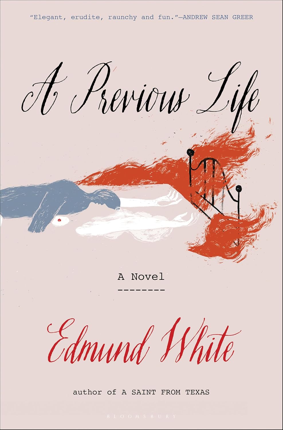 A Previous Life by Edmund White book cover