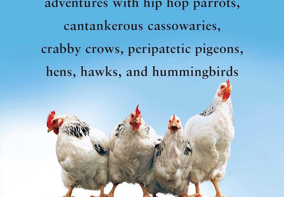 Birdology