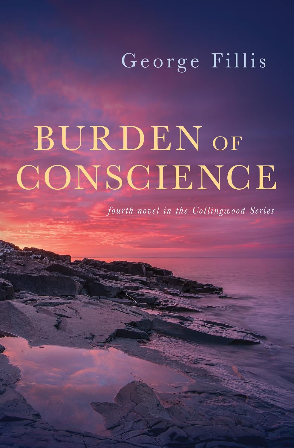 Burden of Conscience by George Fillis book cover