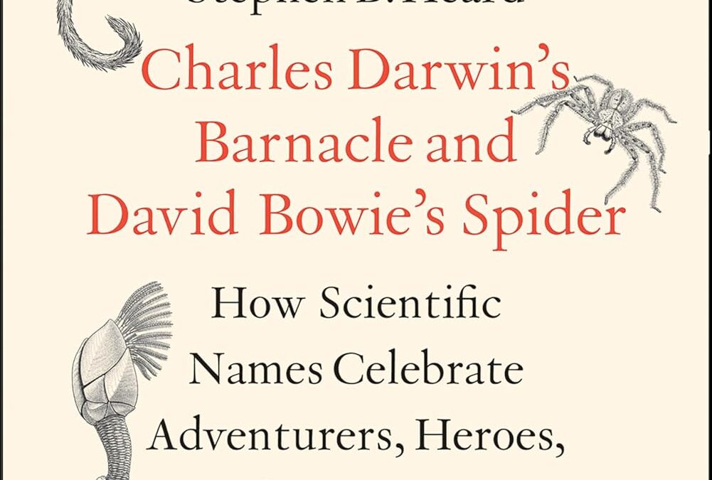 Charles Darwin’s Barnacle and David Bowie’s Spider