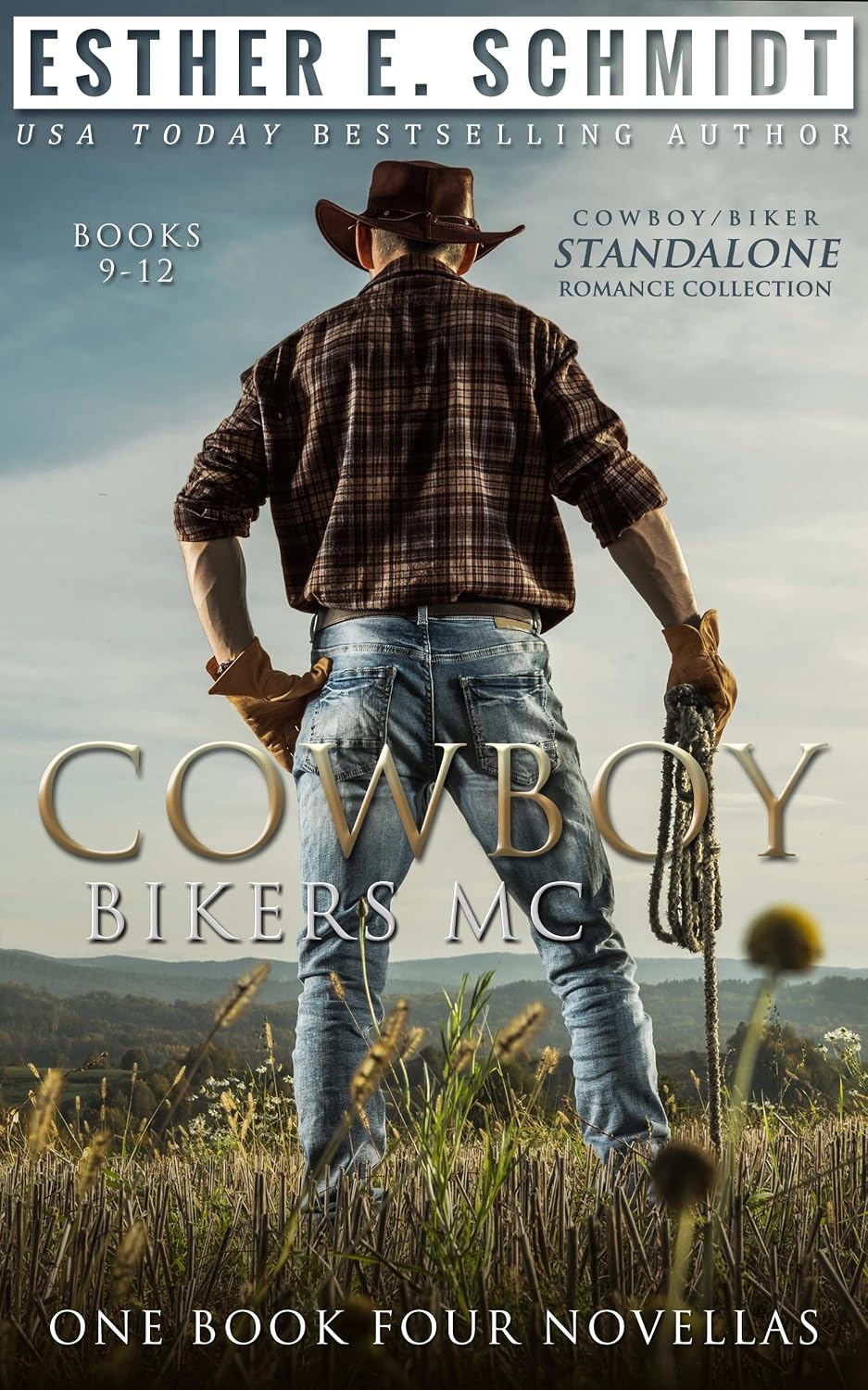 Cowboy Bikers MC (Books 9–12) by Esther E. Schmidt book cover