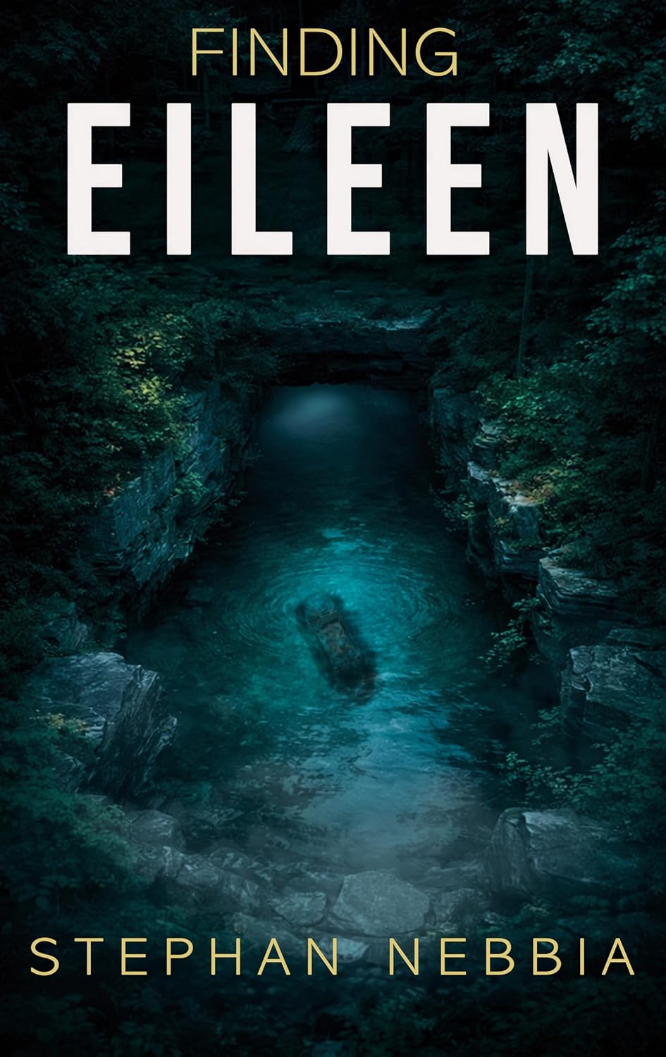 Finding Eileen by Stephan Nebbia book cover