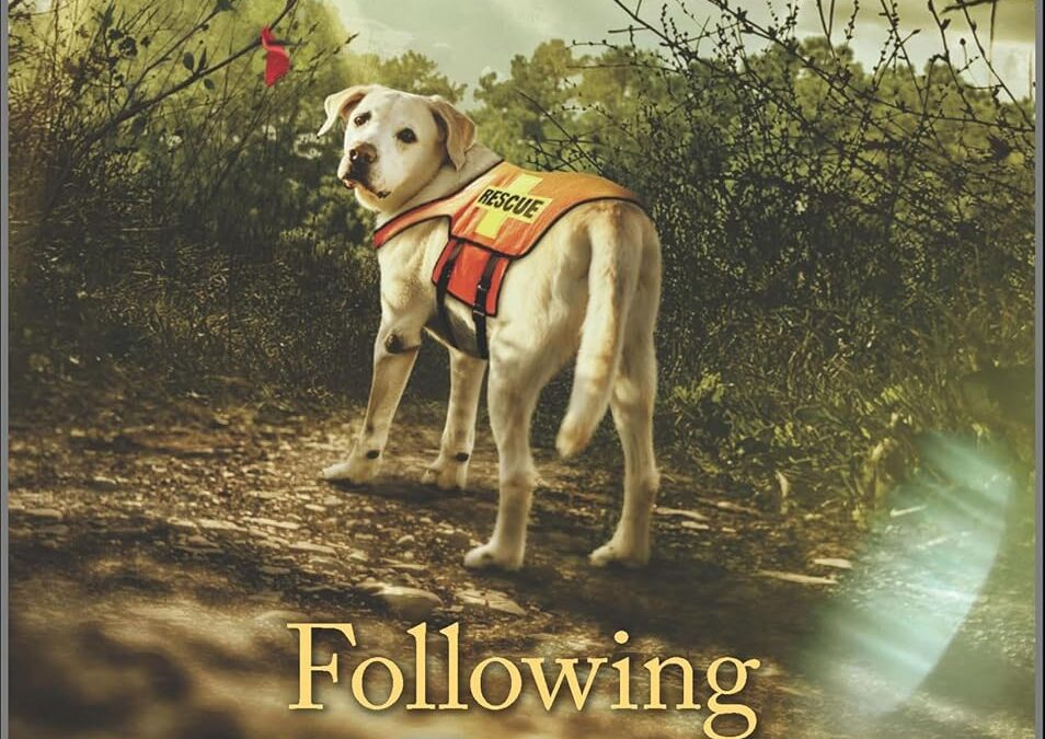Following the Evidence