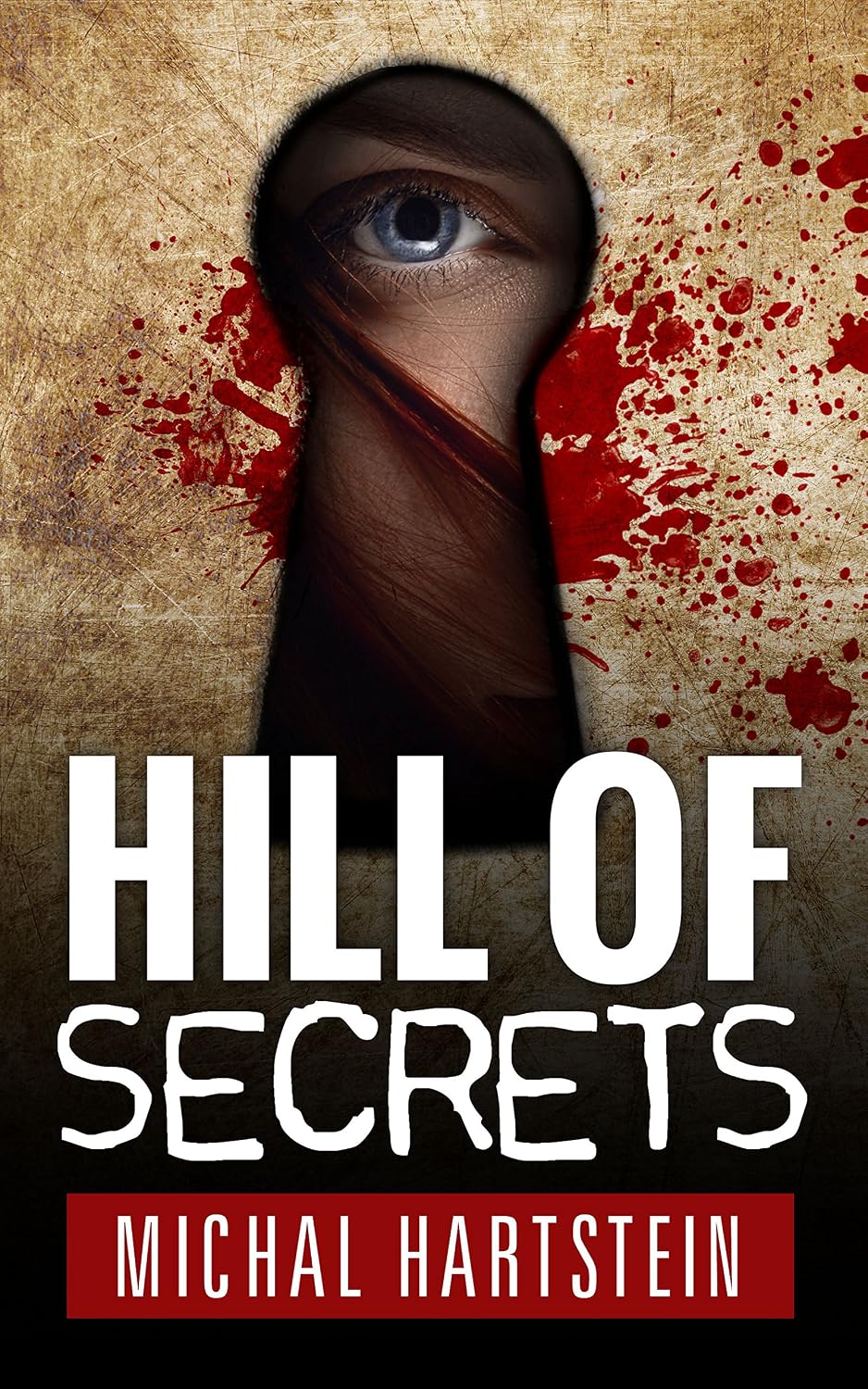 Hill of Secrets by Michal Hartstein book cover