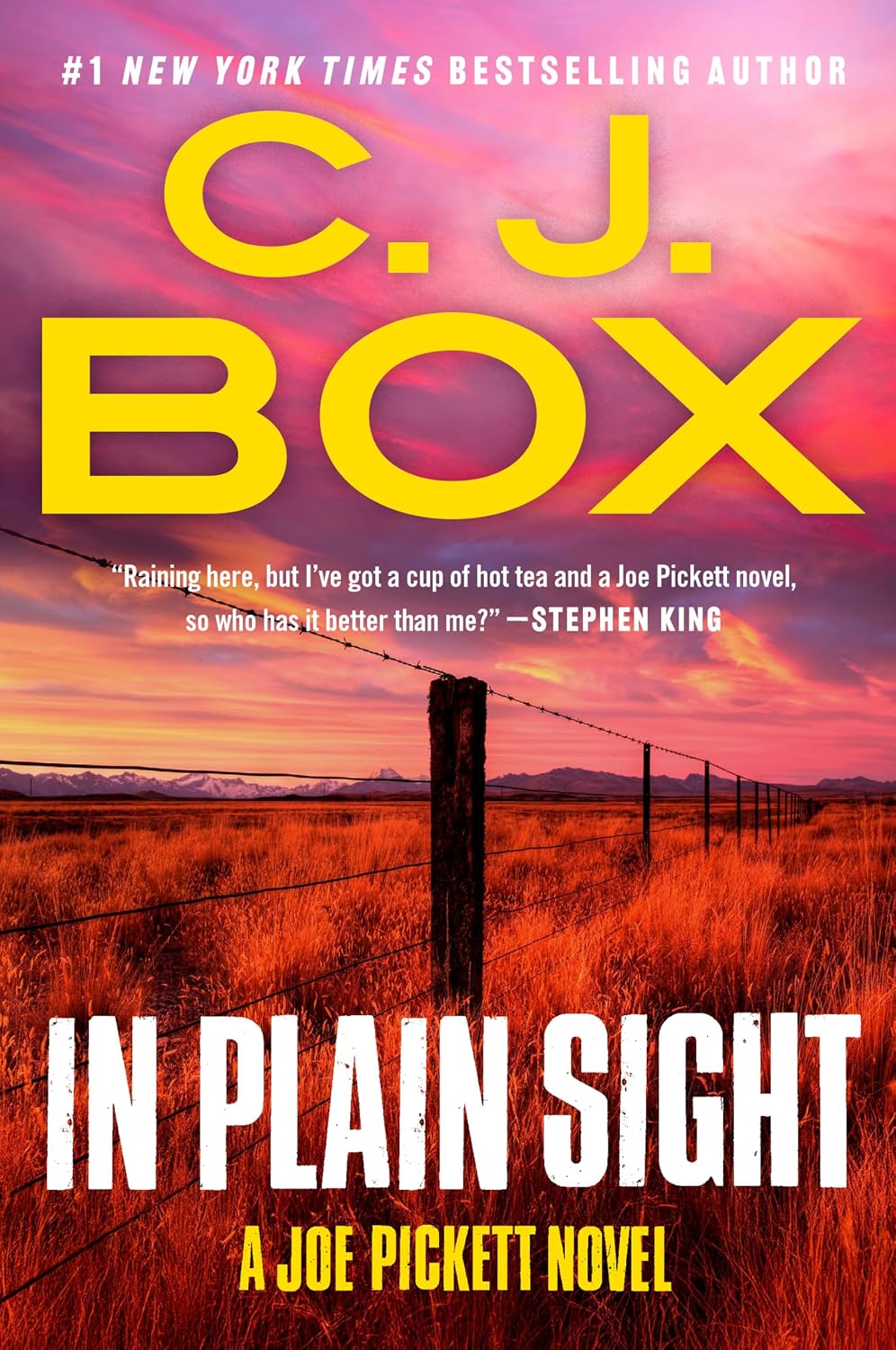 In Plain Sight by C. J. Box book cover