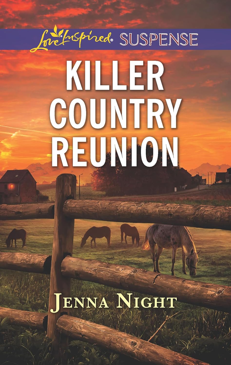 Killer Country Reunion by Jenna Night book cover