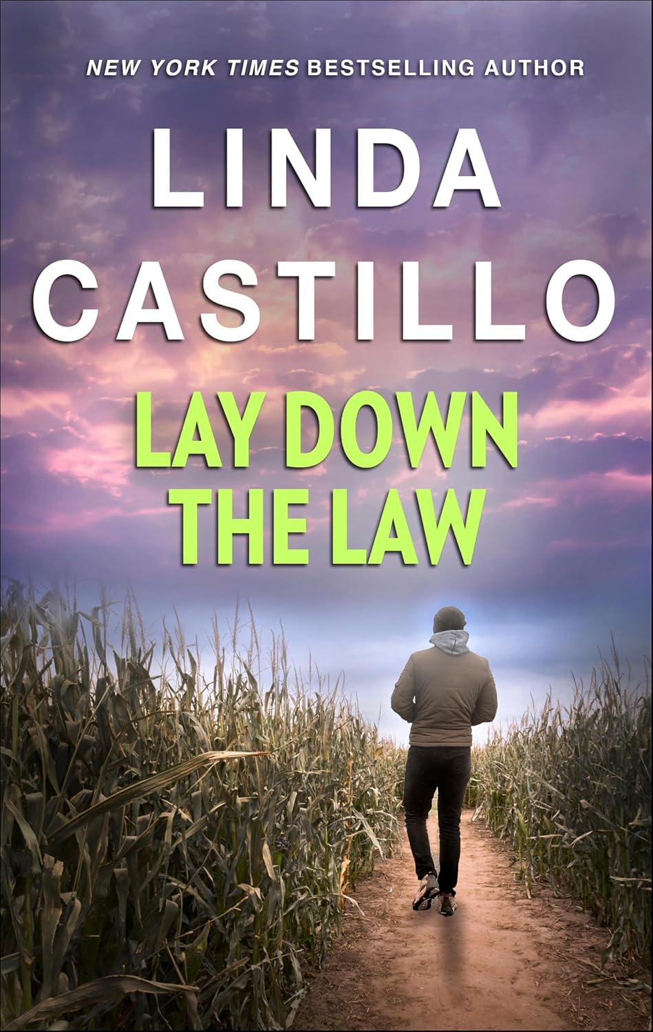 Lay Down the Law by Linda Castillo book cover