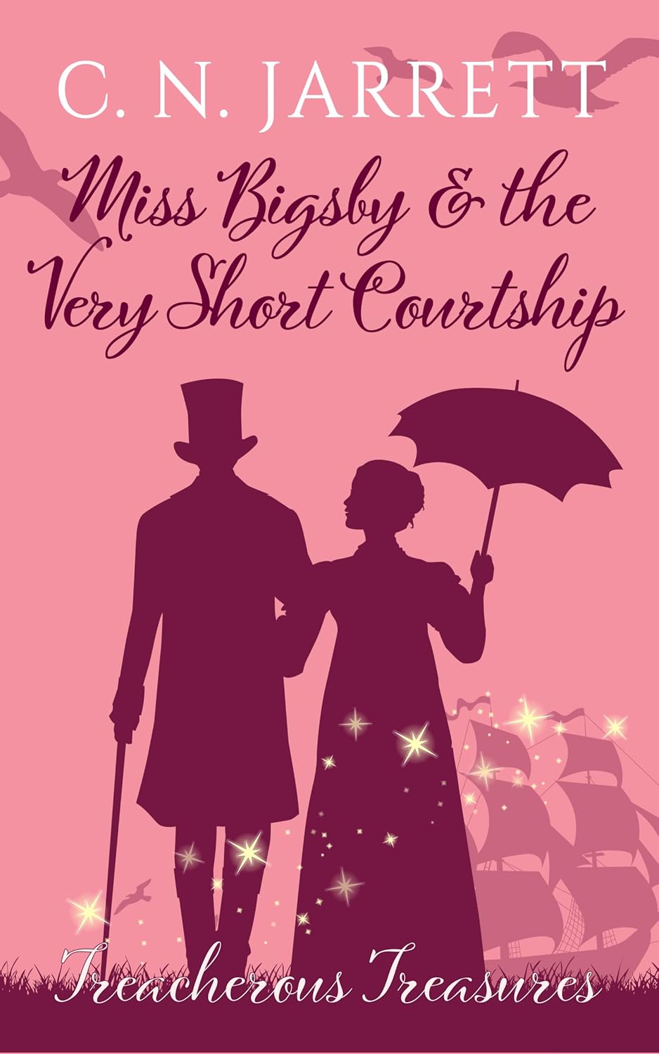 Miss Bigsby & The Very Short Courtship by C. N. Jarrett book cover