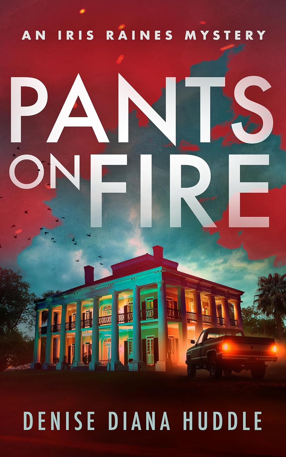 Pants on Fire by Denise Diana  Huddle book cover