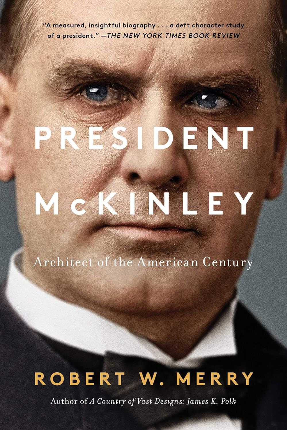 President Mckinley by Robert W. Merry book cover