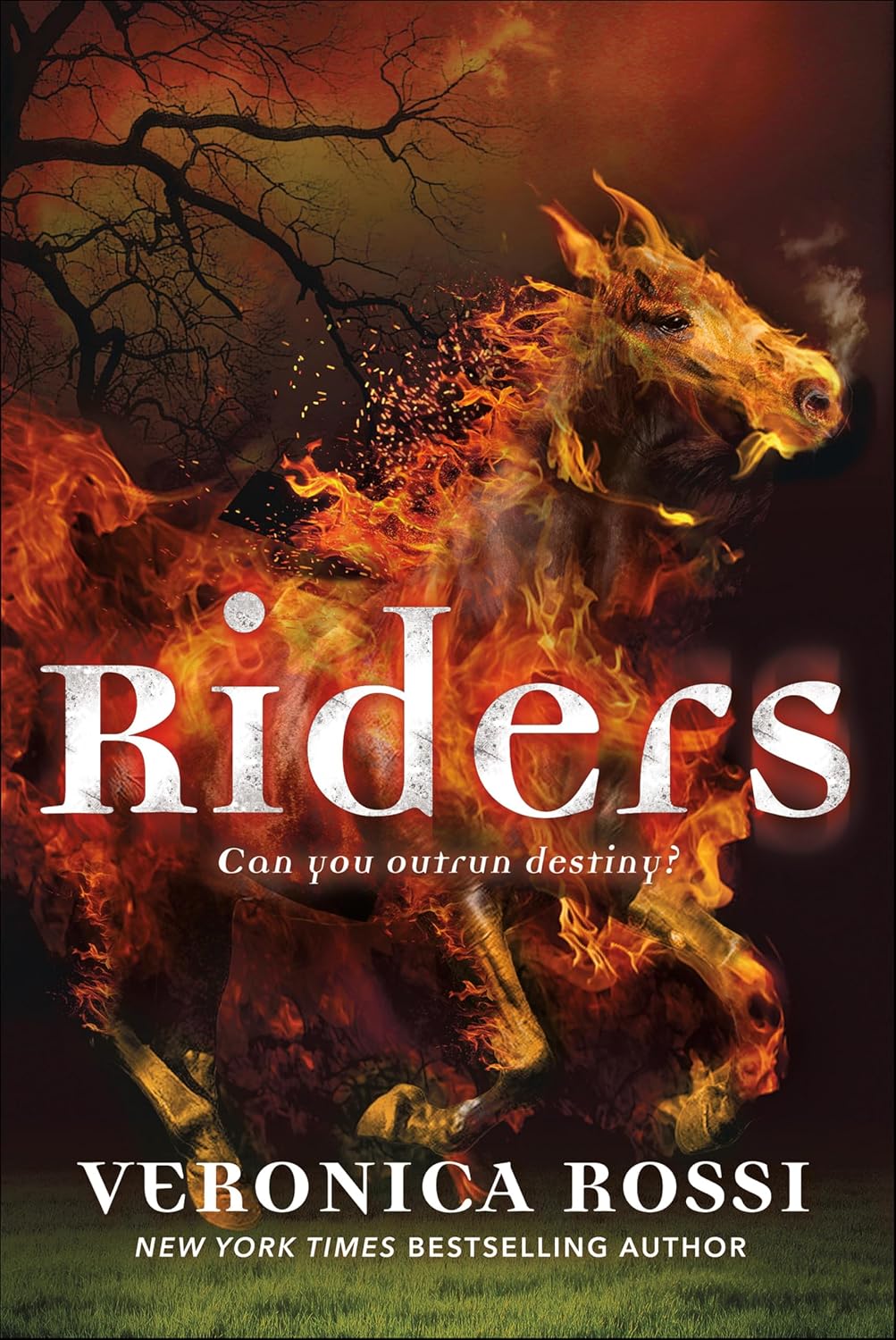Riders by Veronica Rossi book cover