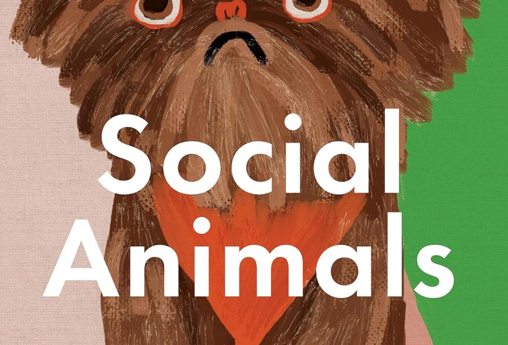 Social Animals