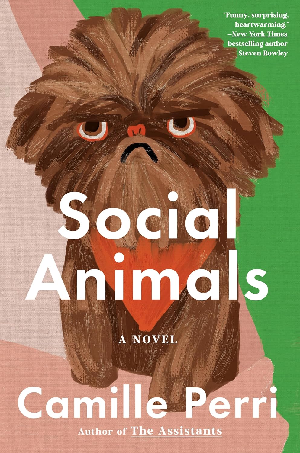 Social Animals by Camille Perri book cover