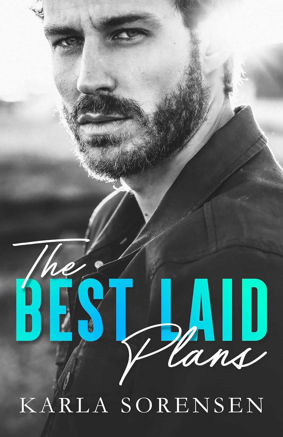 The Best Laid Plans by Karla Sorensen book cover