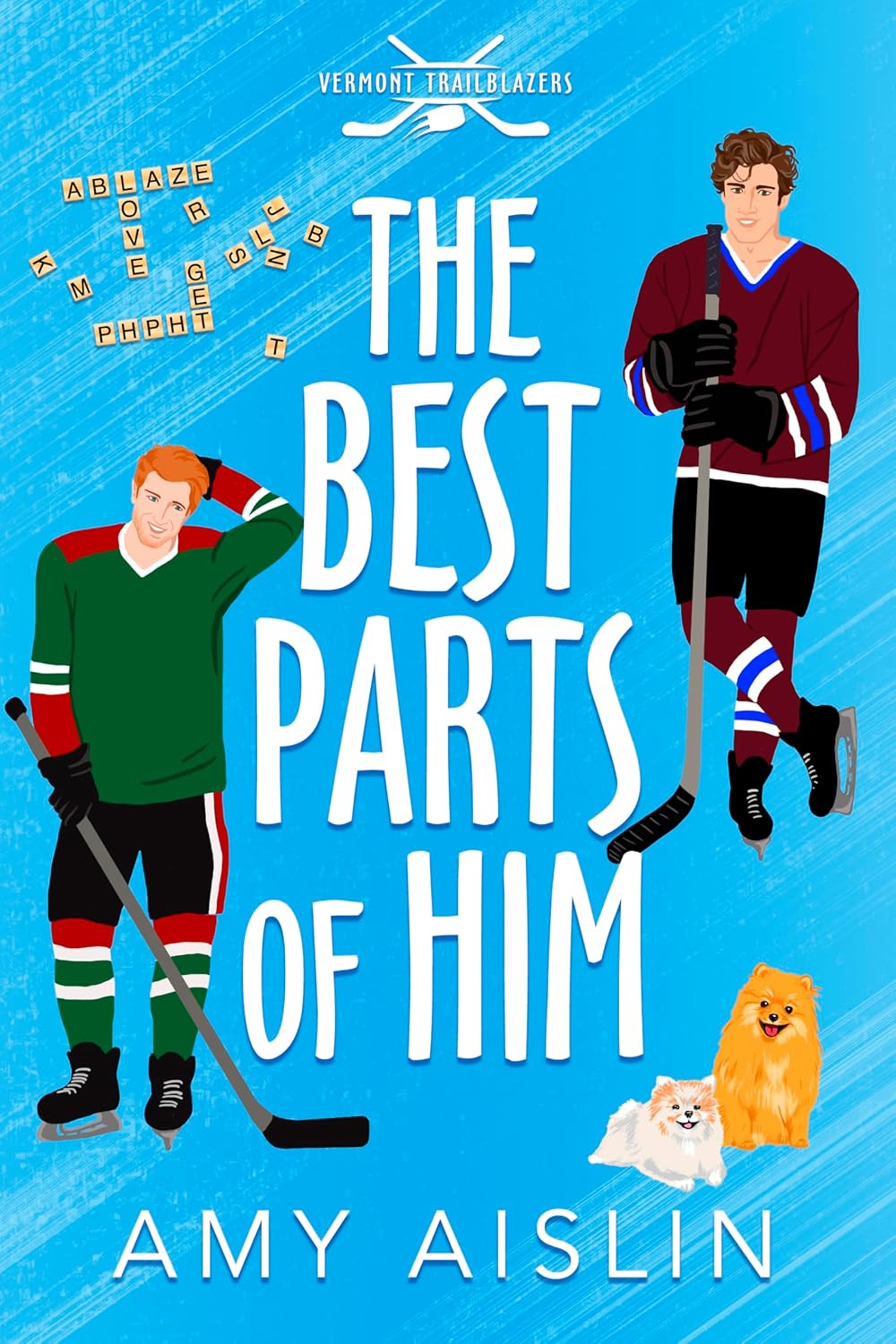 The Best Parts of Him by Amy Aislin book cover