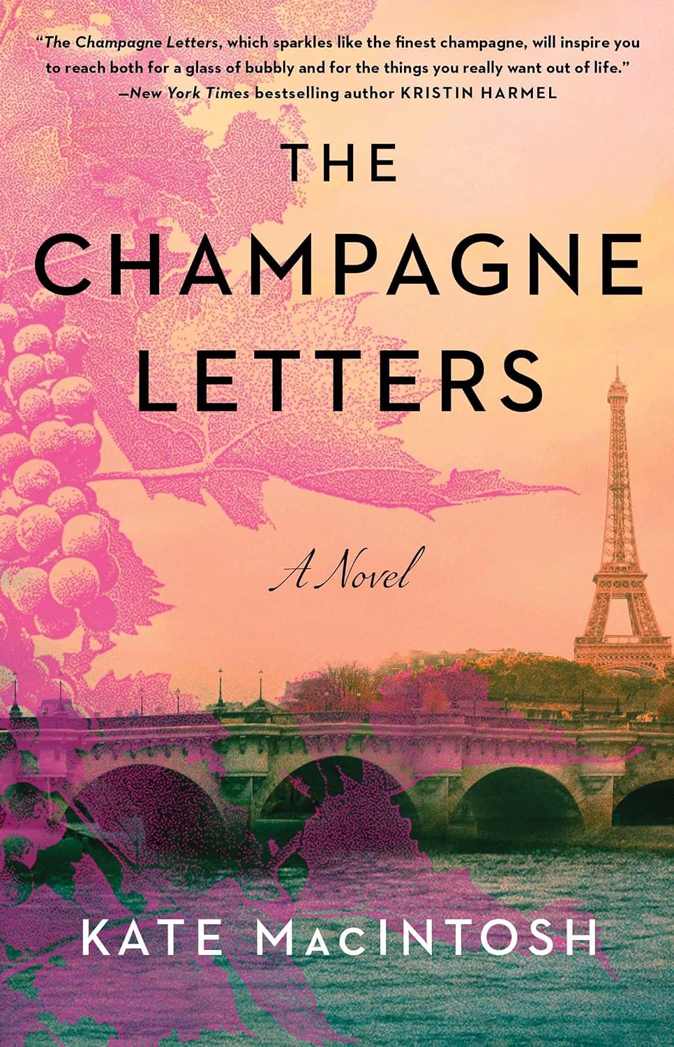 The Champagne Letters by Kate MacIntosh book cover