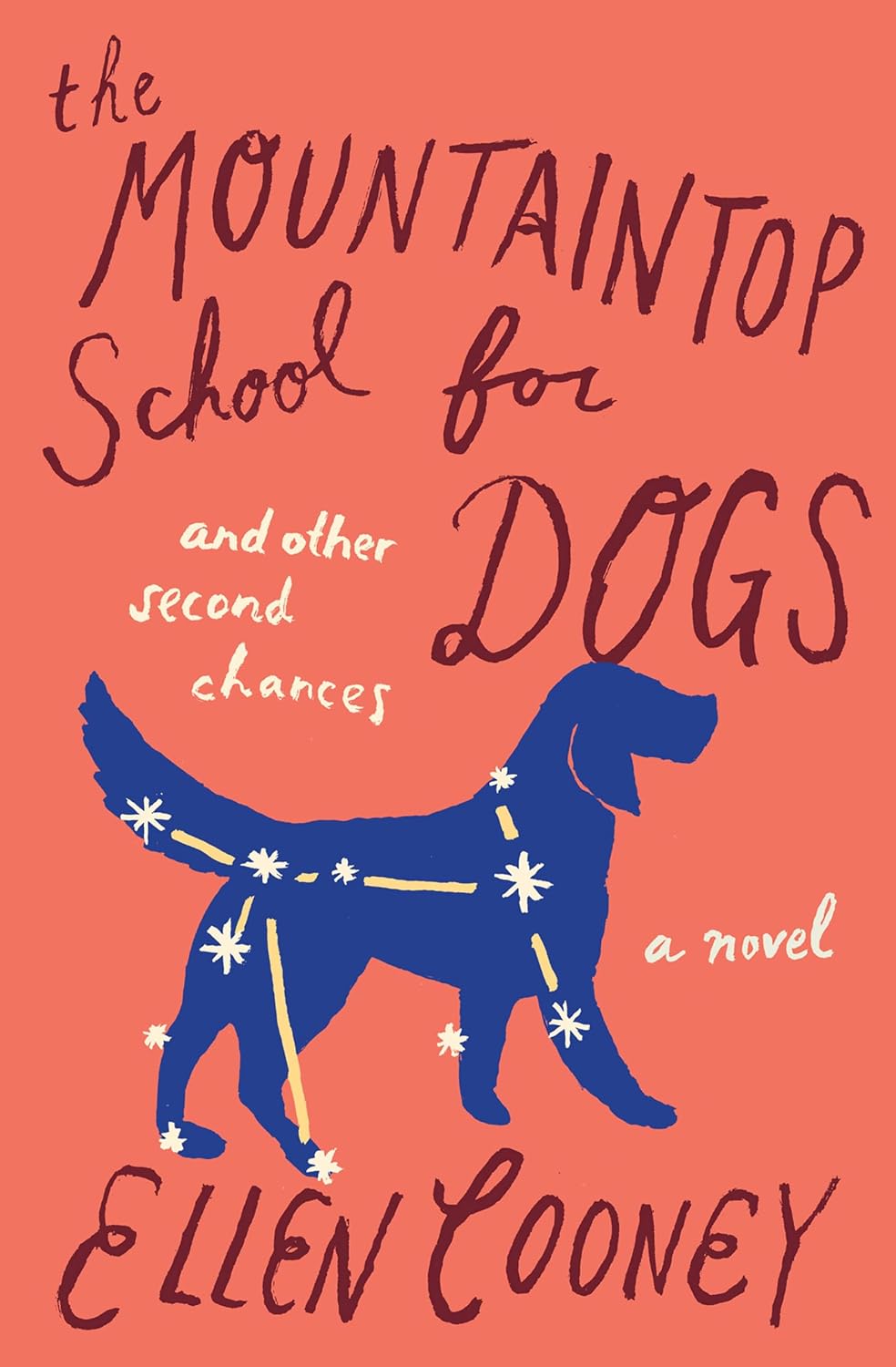 The Mountaintop School for Dogs by Ellen Cooney book cover