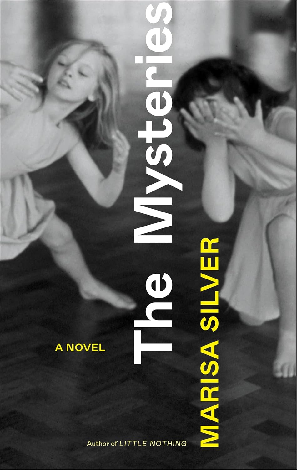 The Mysteries by Marisa Silver book cover