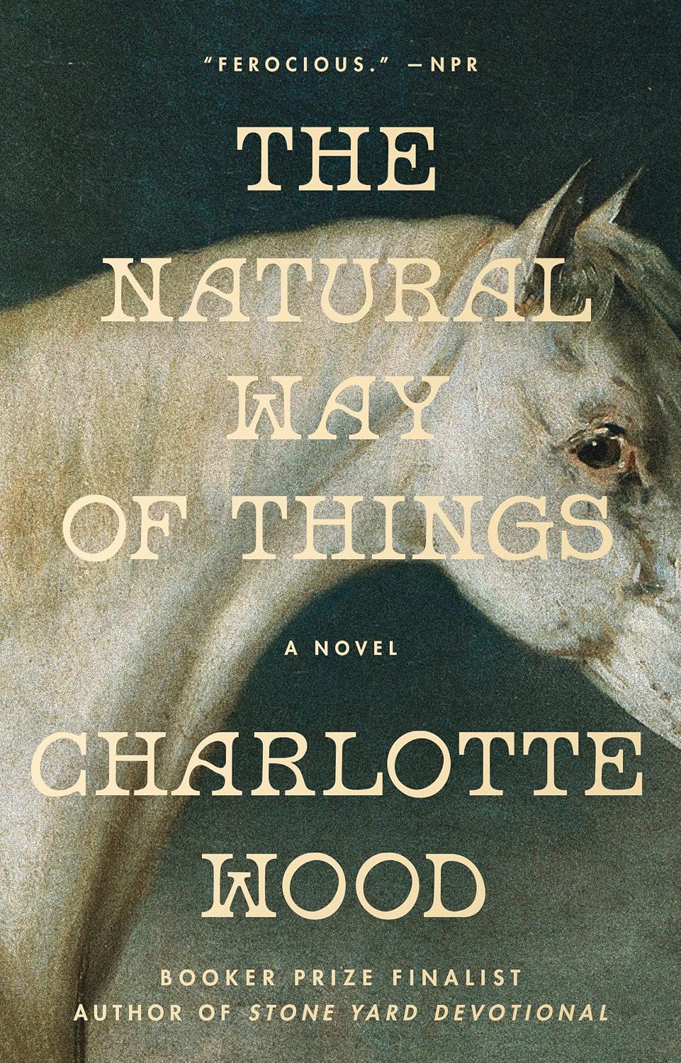 The Natural Way of Things by Charlotte Wood book cover