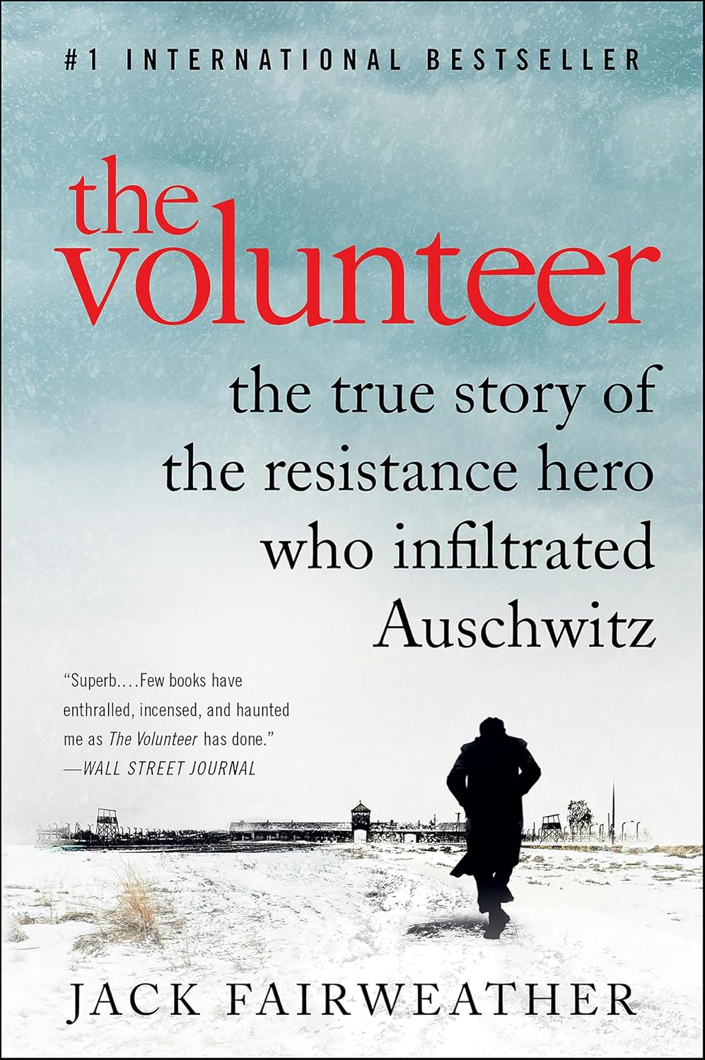 The Volunteer by Jack Fairweather book cover