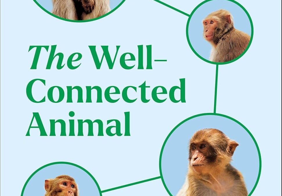 The Well-Connected Animal