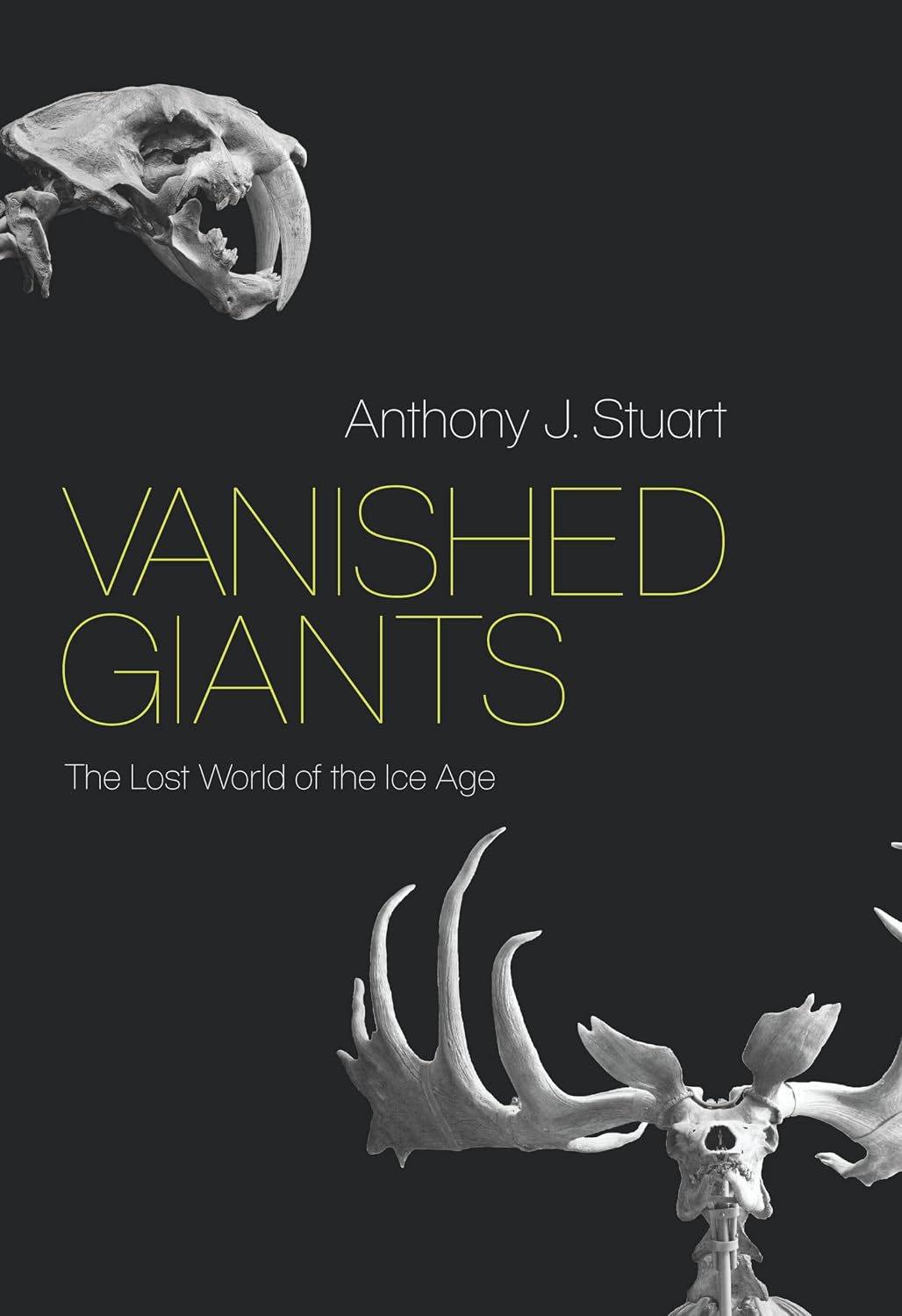 Vanished Giants by Anthony J. Stuart book cover