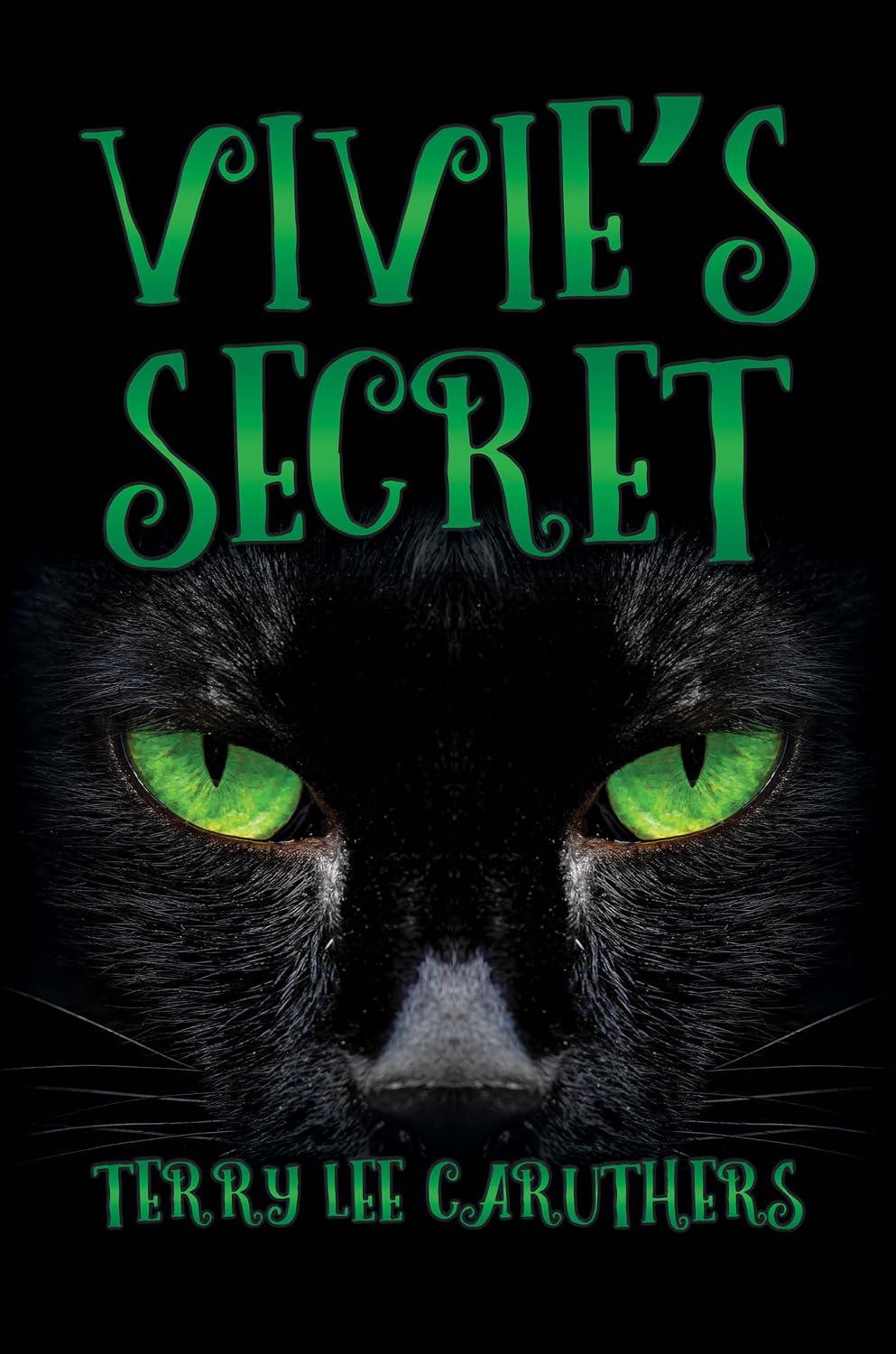 Vivie’s Secret by Terry Lee Caruthers book cover