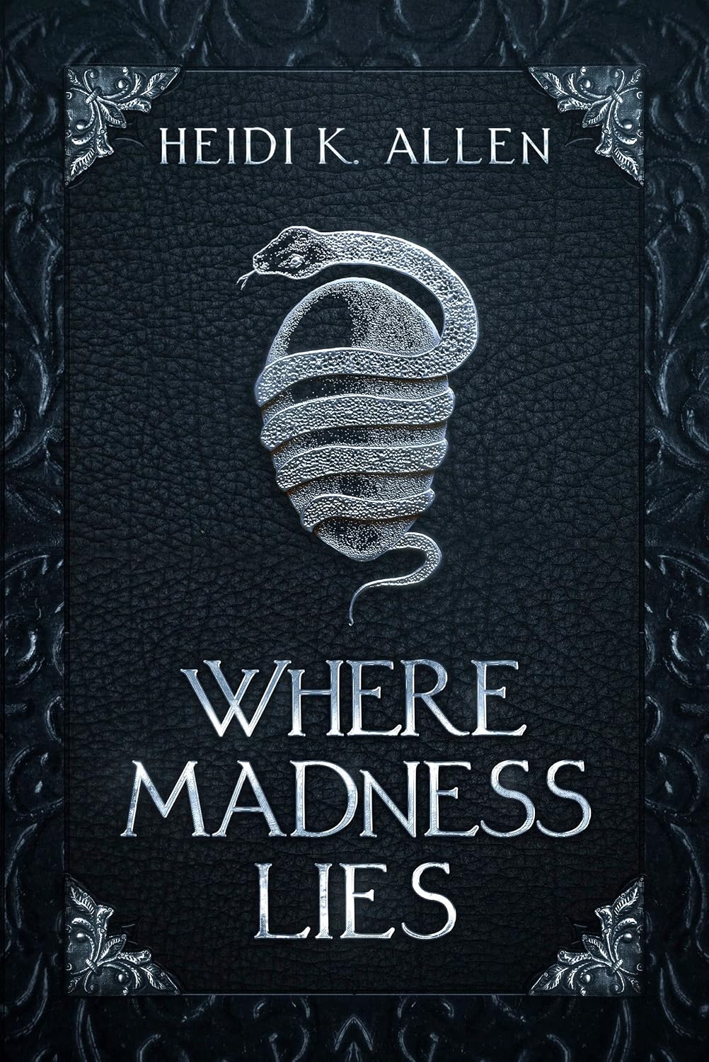 Where Madness Lies by Heidi K. Allen book cover