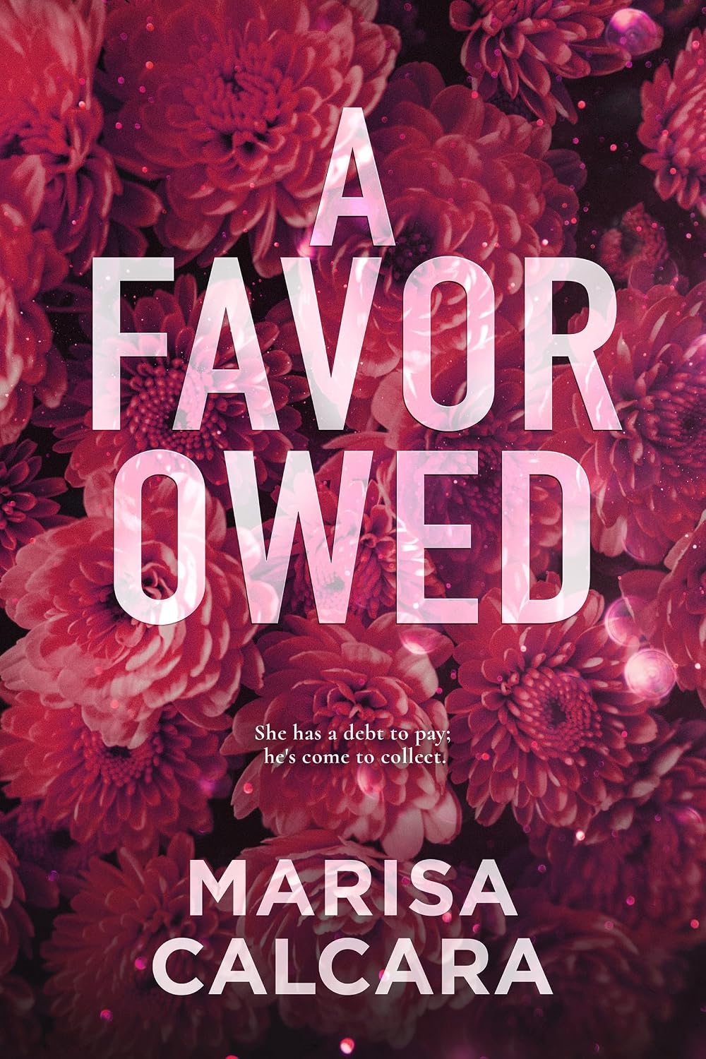 A Favor Owed by Marisa Calcara book cover