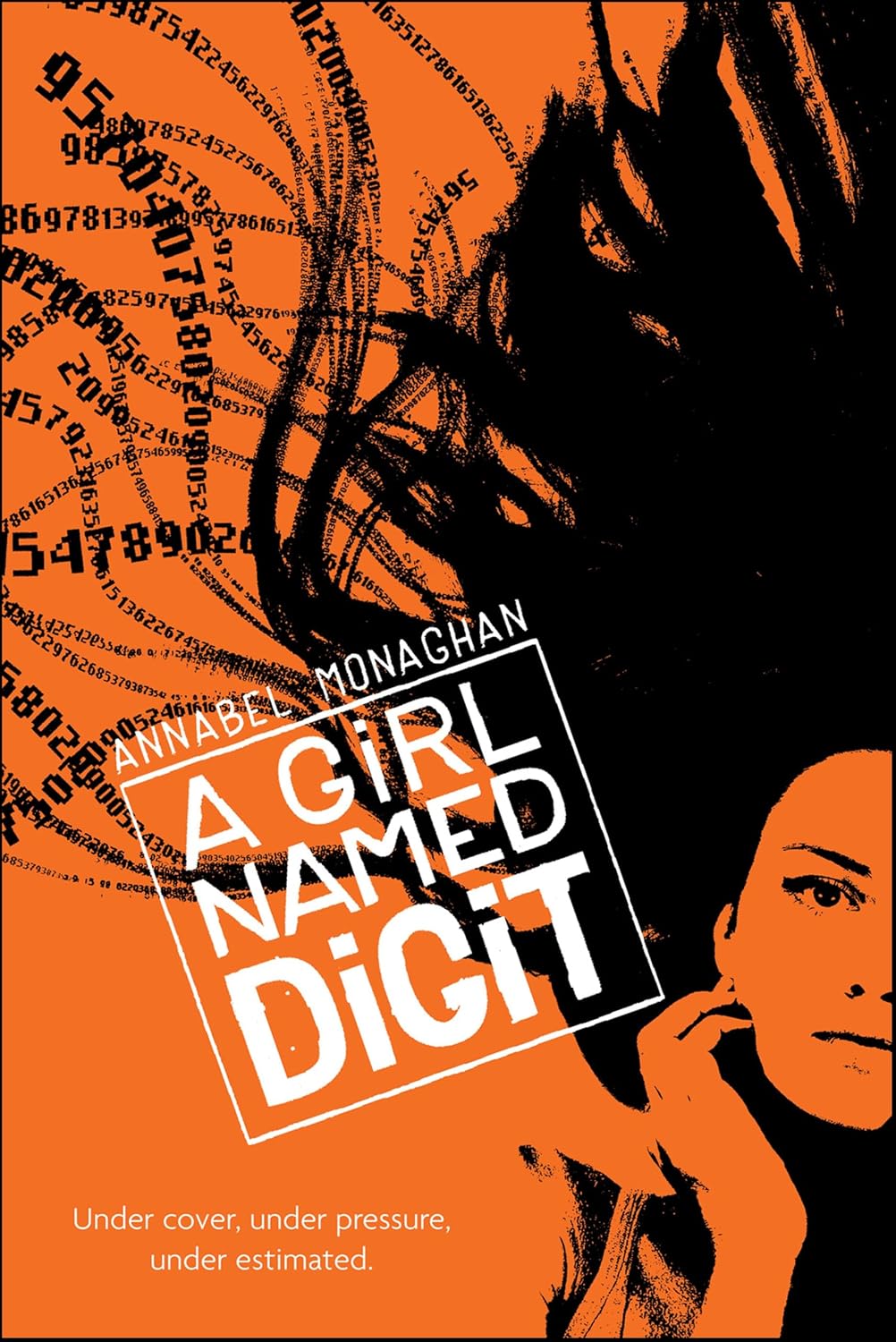 A Girl Named Digit by Annabel Monaghan book cover