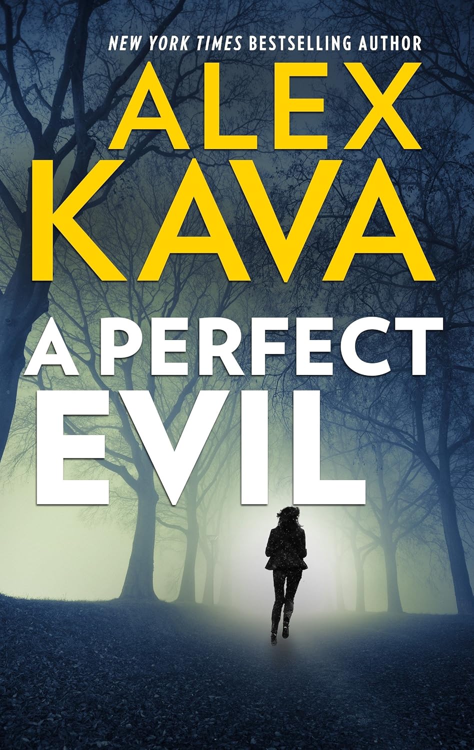 A Perfect Evil by Alex Kava book cover