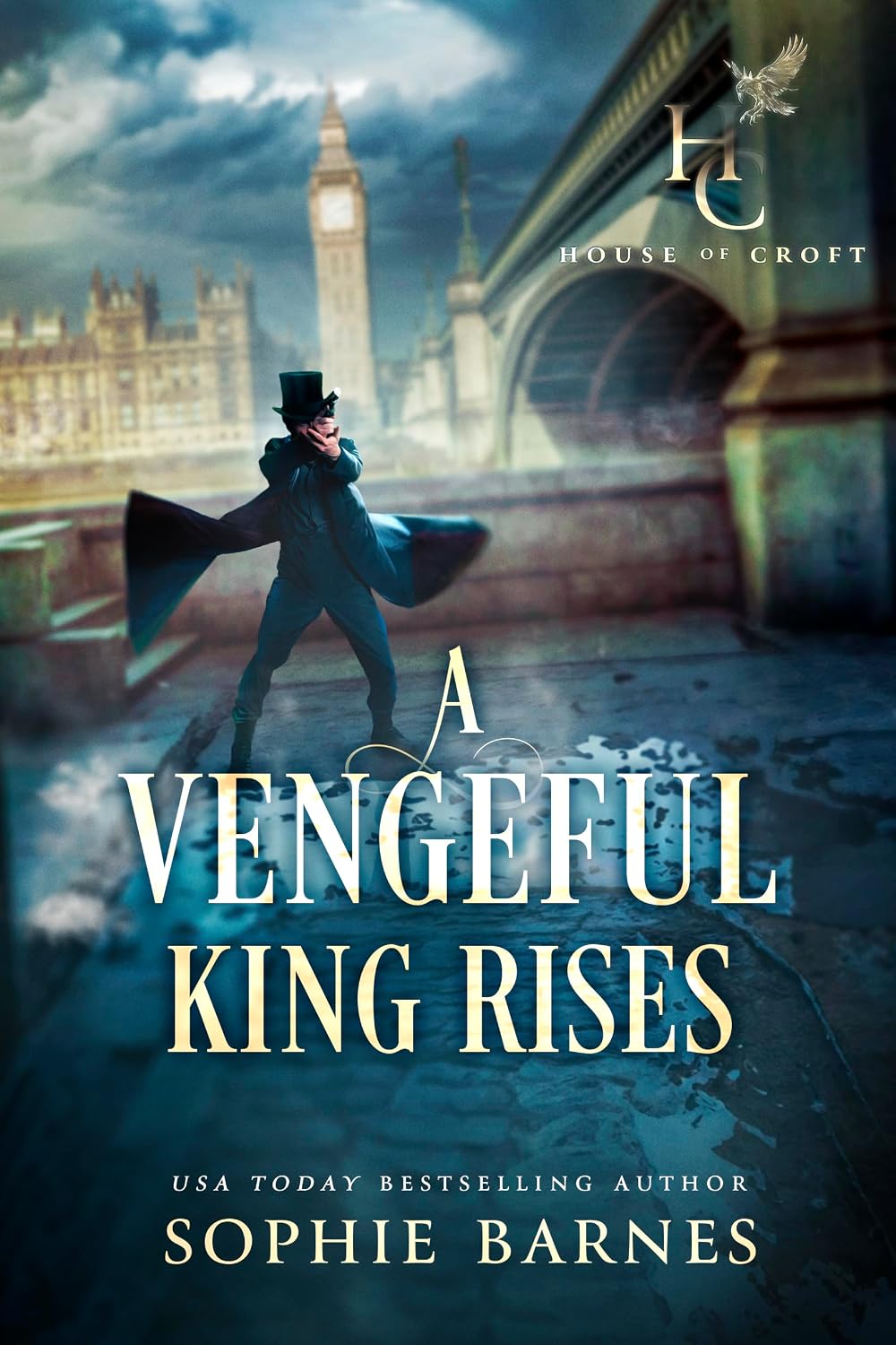 A Vengeful King Rises by Sophie Barnes book cover