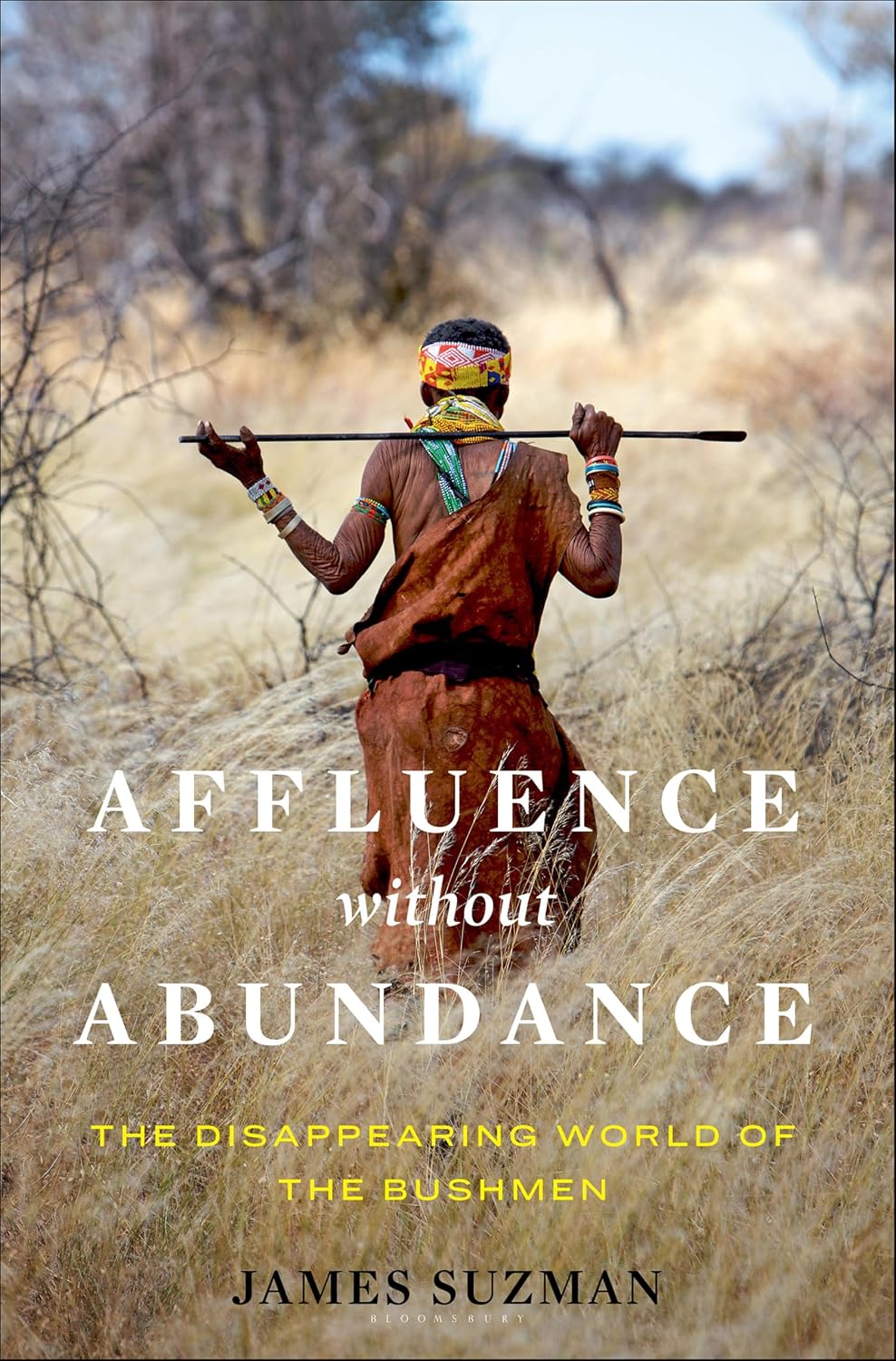 Affluence Without Abundance by James Suzman book cover
